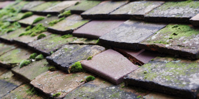 Bingham roof repair costs